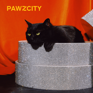 PAWZCITY ラインストーン爪とぎボウル