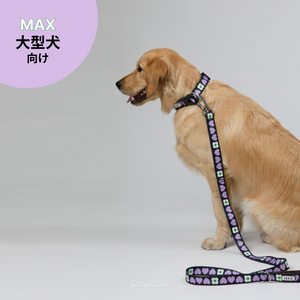 【大型犬向け】iLLO LUV ME スタンダードリード MAX