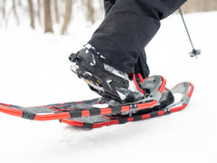 All About Snowshoes