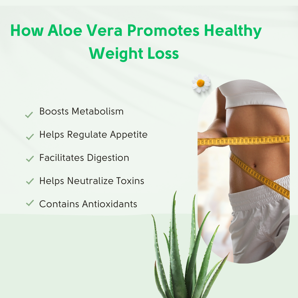 How Aloe Vera Promotes Healthy Weight Loss