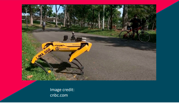 boston dynamic robot at Bishan-Ang Mo Kio park