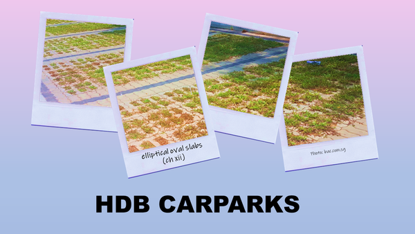 elliptical slabs in HDB carparks