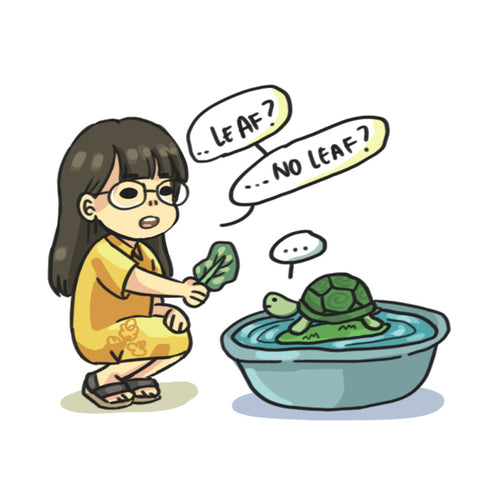 A drawing of a girl in a yellow dress trying to feed an unresponsive terrapin. 