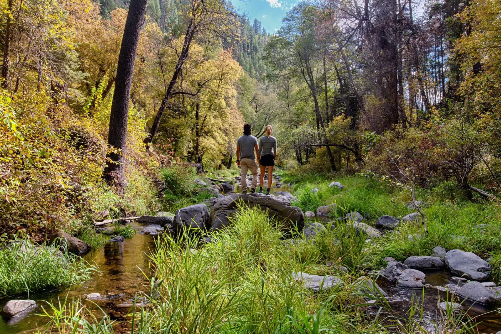 Cave Springs Campground