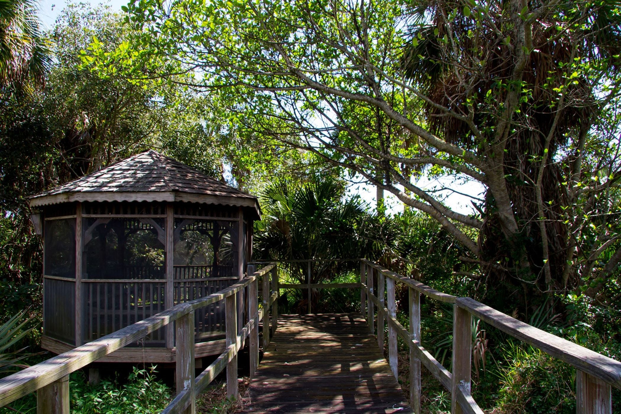 Center for Sanibel-Captiva Conservation