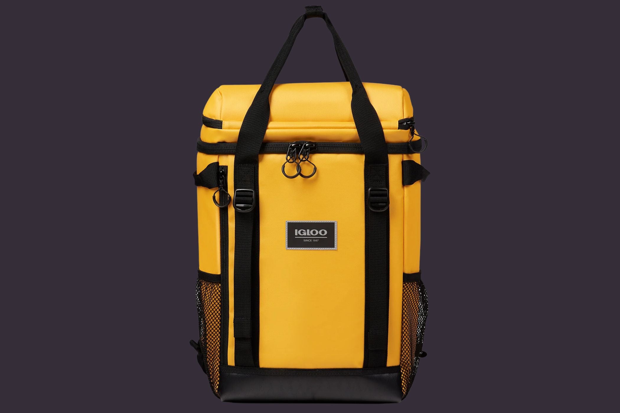 Igloo Pursuit 24-Can Backpack