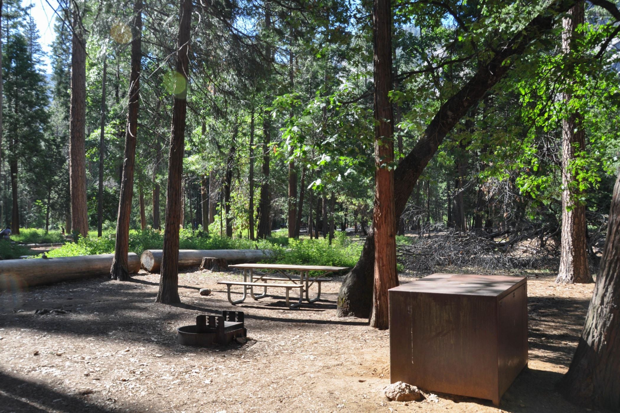 Pines Campground