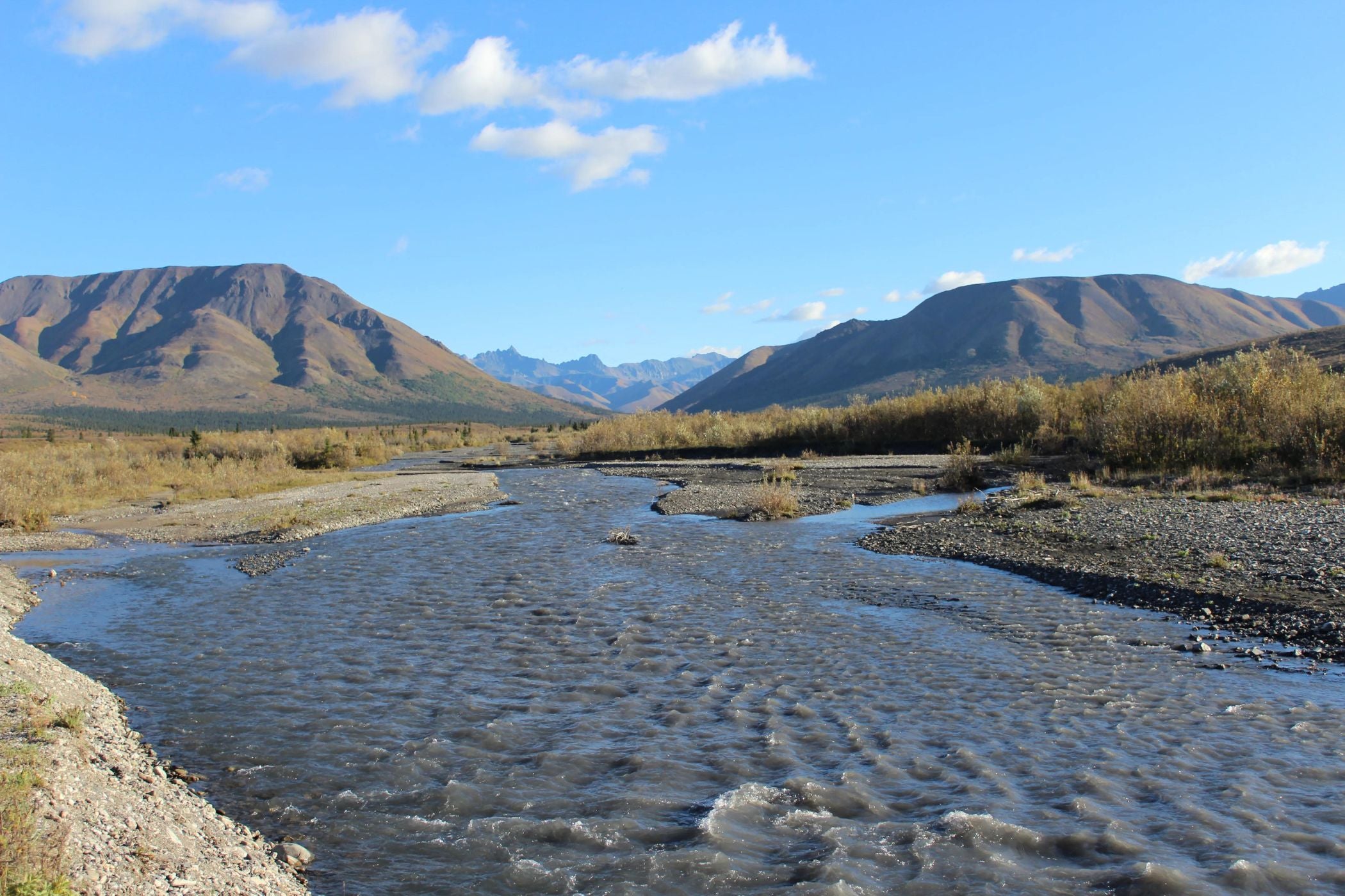 Savage River Campground