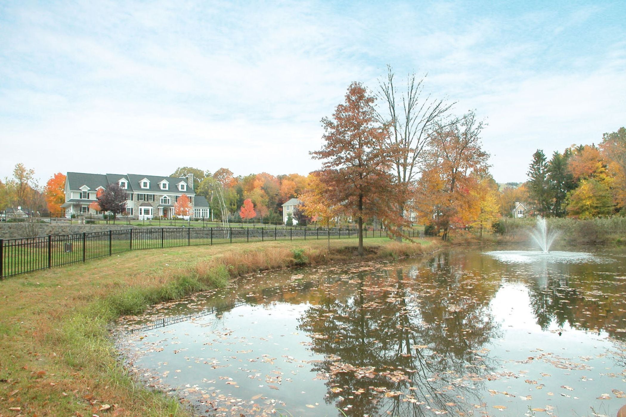 Shady Brook Park