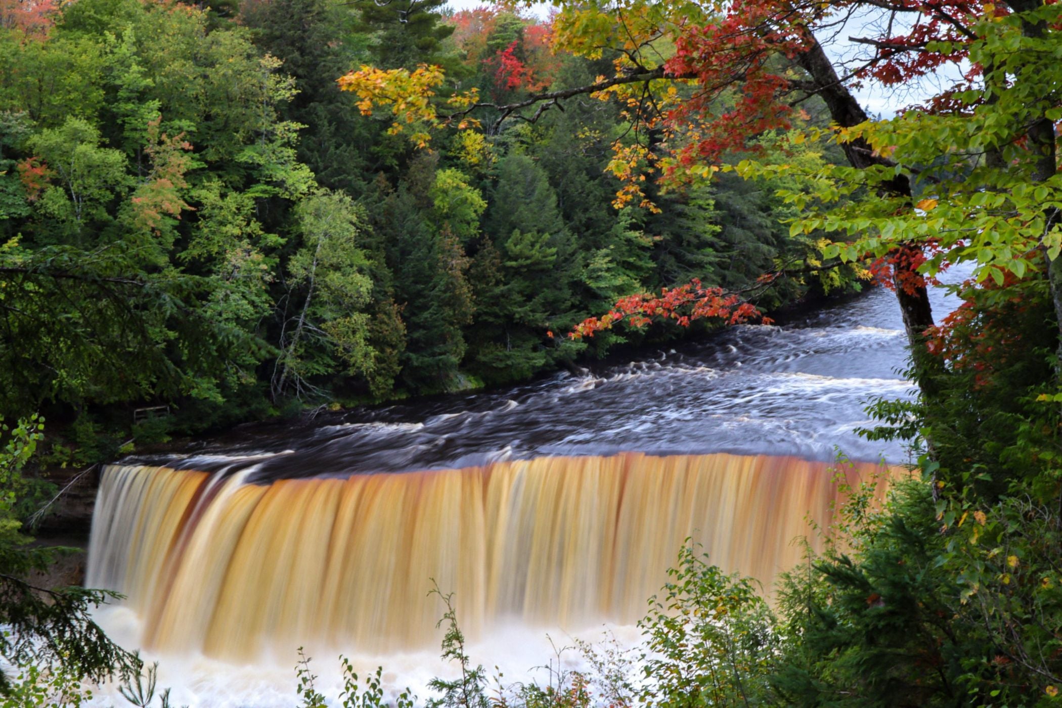 Tahquamenon Falls State Park