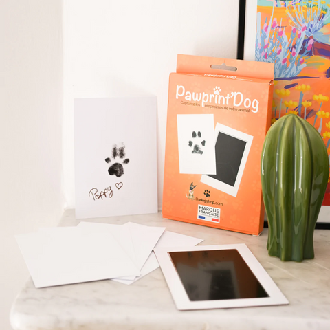 Un kit d'empreinte chien et chat