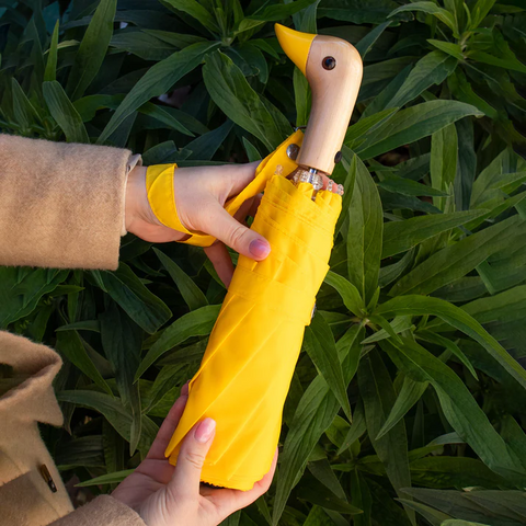 Un parapluie jaune canard