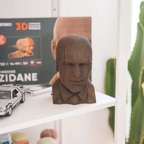 Sculpture en carton DIY - Zidane
