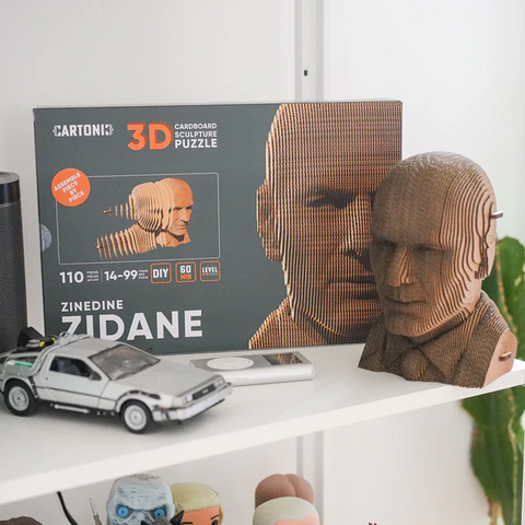 Sculpture en carton DIY - Zidane