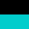 black/turquoise