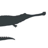 Alligator