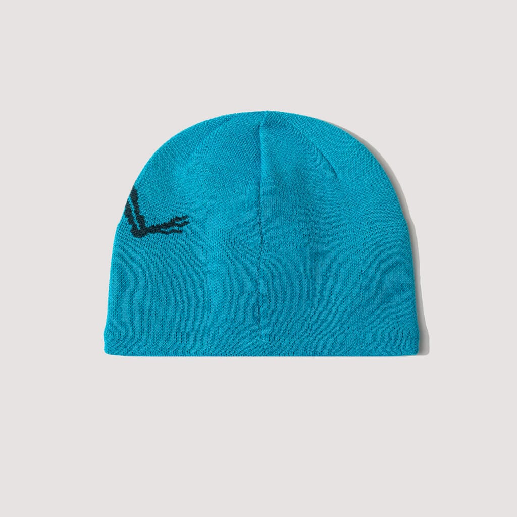 激安価格の ☆限定値下げ中☆ arc'teryx bird head toque ニット