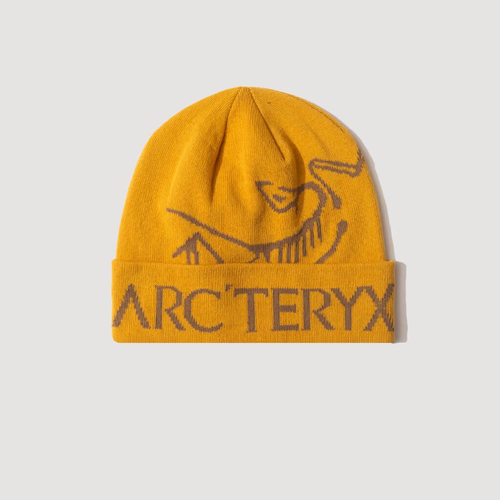 Bird Head Toque - Blue Tetra/Pytheas | Arc'teryx | Peggs & Son.