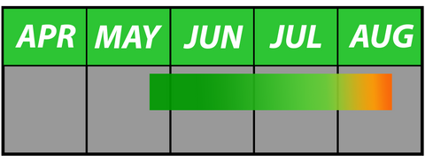 Fertilizer Schedule