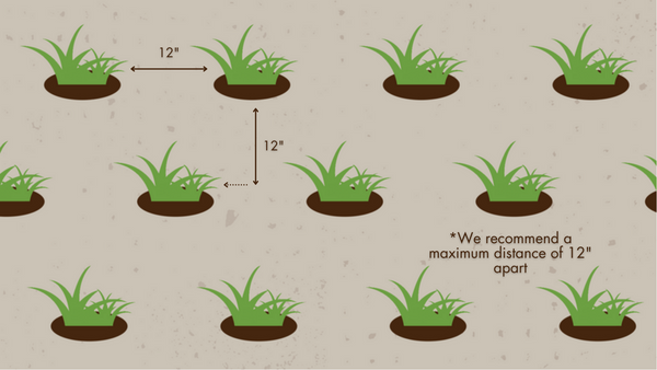 Spacing guide