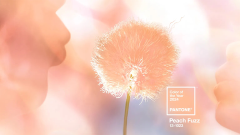 Pantone Color of the Year 2024, Peach Fuzz, courtesy, Pantone.