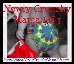 Newly Crunchy Mama of 3