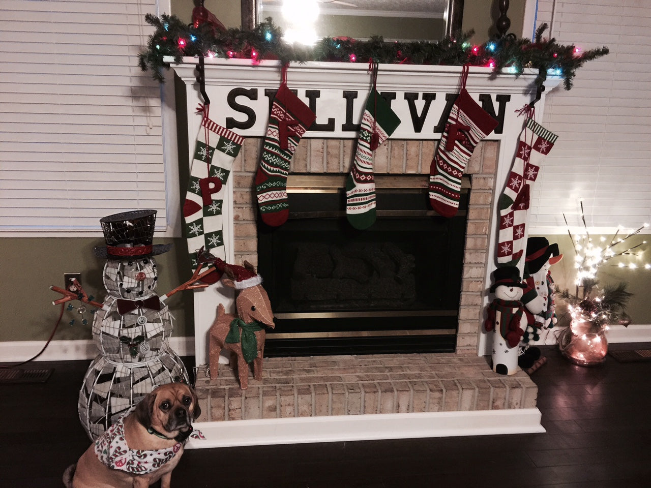 We're <dog> moms too - Christmas mantle