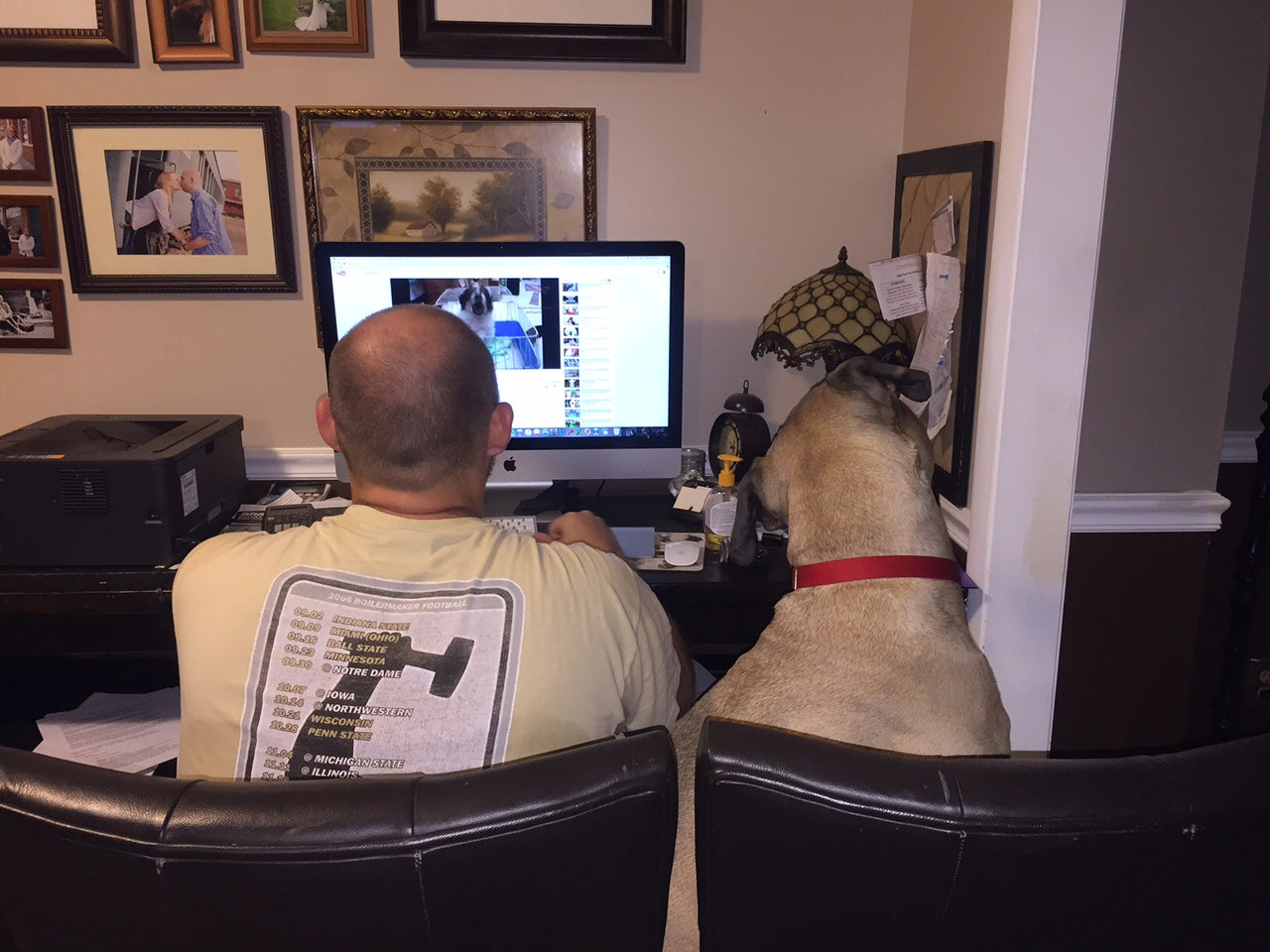 We're <dog> moms too - surfing the web