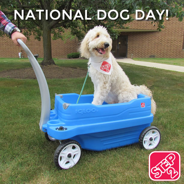 National-Dog-Day