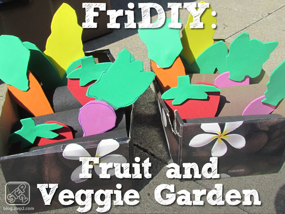 fridiy-vegetable-garden-diy-craft