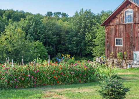 picture of a homestead with barn and garden