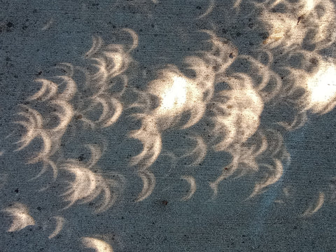 solar eclipse reflected on sidewalk through leaves