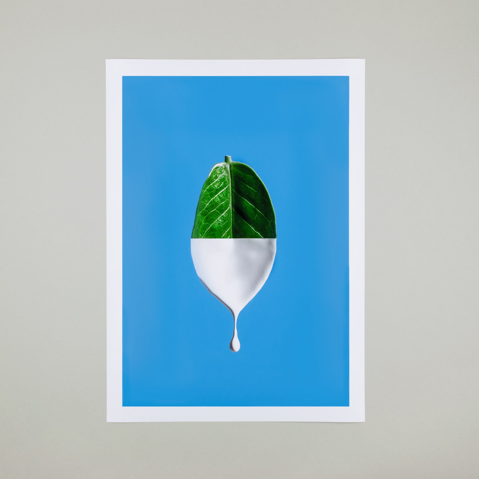 12x24 Photo Prints