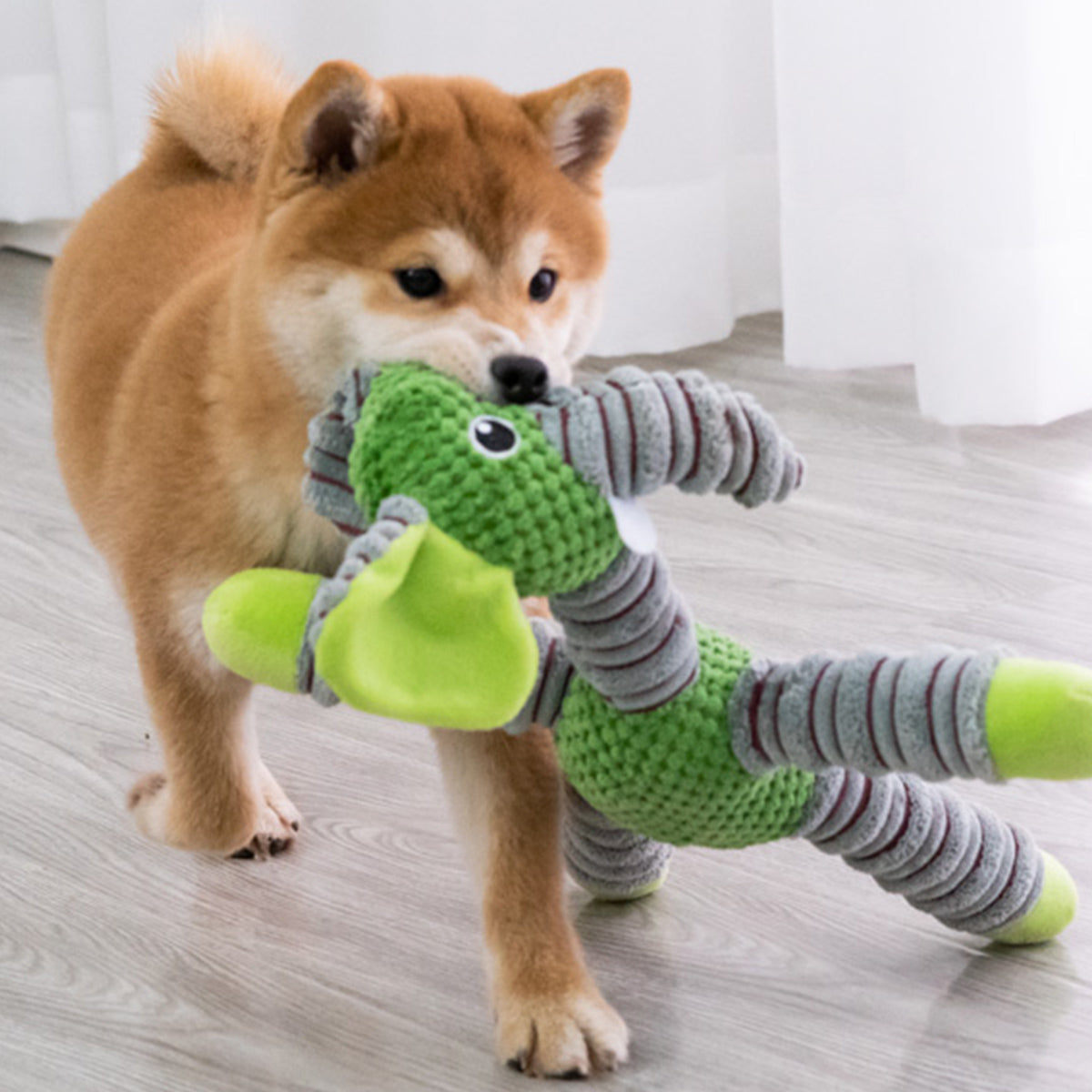 Pupwonders| Durable Chew Toys for Dogs
