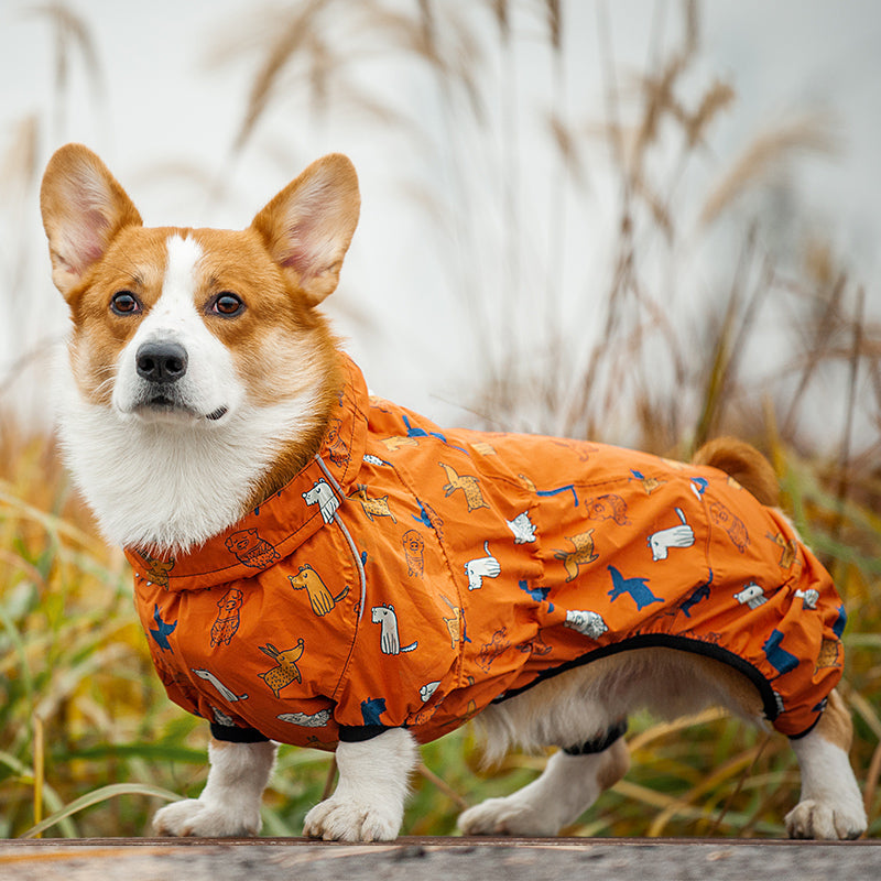 Pupwonders | Camo Brush Raincoat For Small Dog