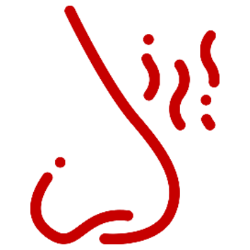smell_icon_207d8a4c-c812-4f6b-bd3e-d1850da38248