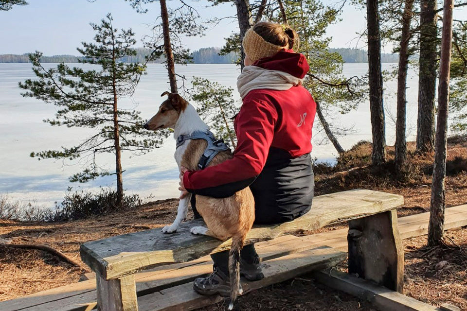 Pentukoira Armi retkeilee talvella merenrannalla