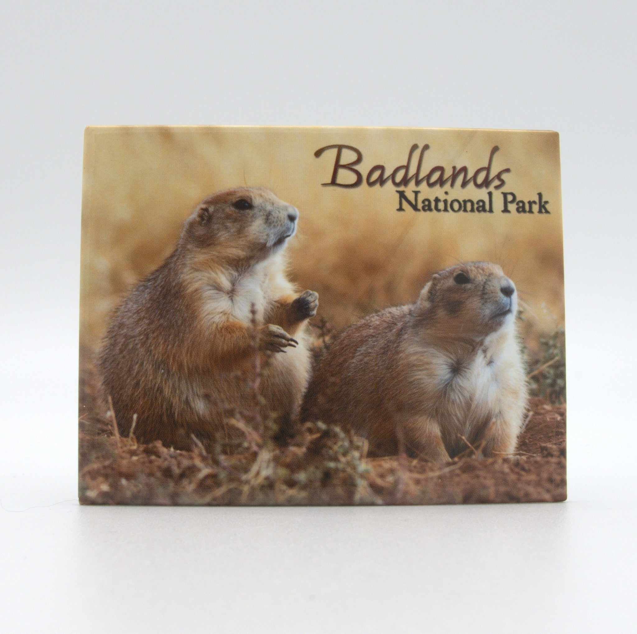  Badlands Prairie Dog Badge Magnet 