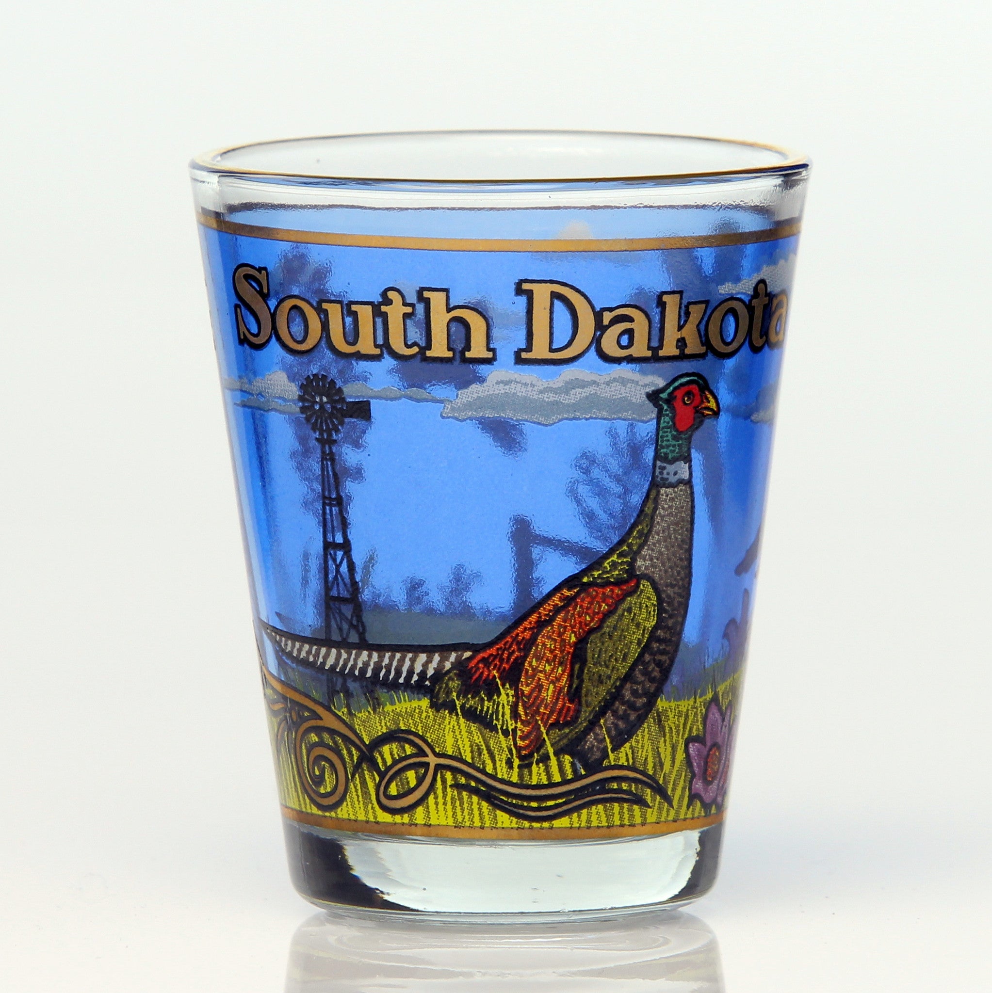  All 50 State Collectible Shot Glasses SET 