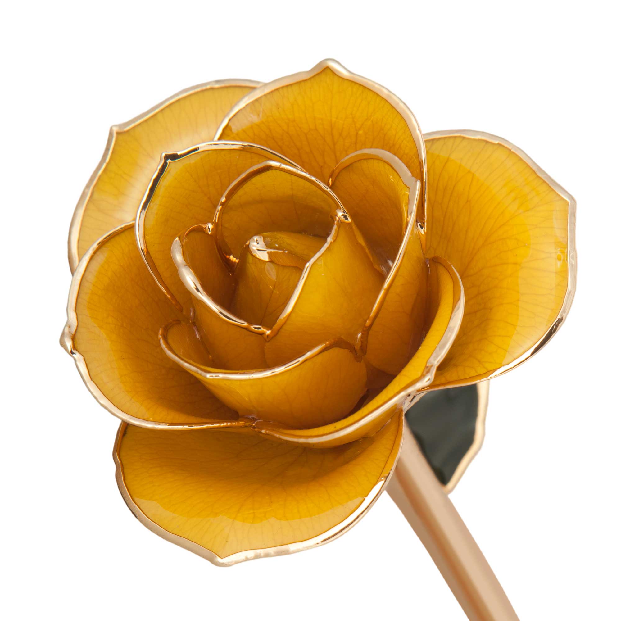  Sunshine Yellow 24K Gold Dipped Rose 