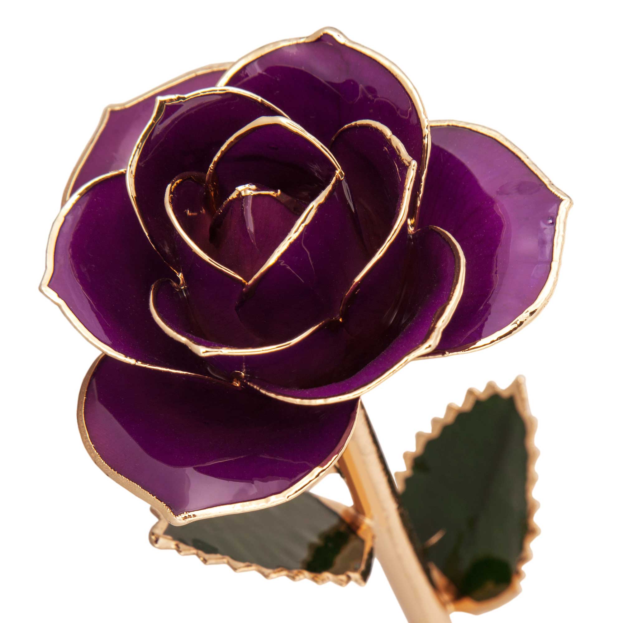  Royal Purple 24K Gold Dipped Rose 