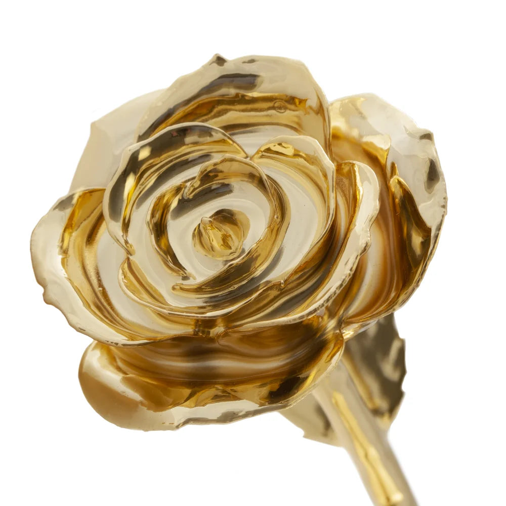  Glamorous Gold 24k Gold Dipped Rose 