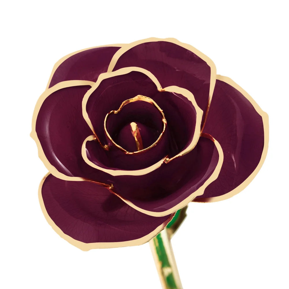  Burgundy Wine 24k Gold Dipped Rose 