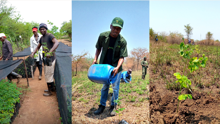 planting_trees