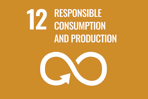 Objetivo de desarrollo sostenible 12 de la ONU - consumo responsable - alterre shoes