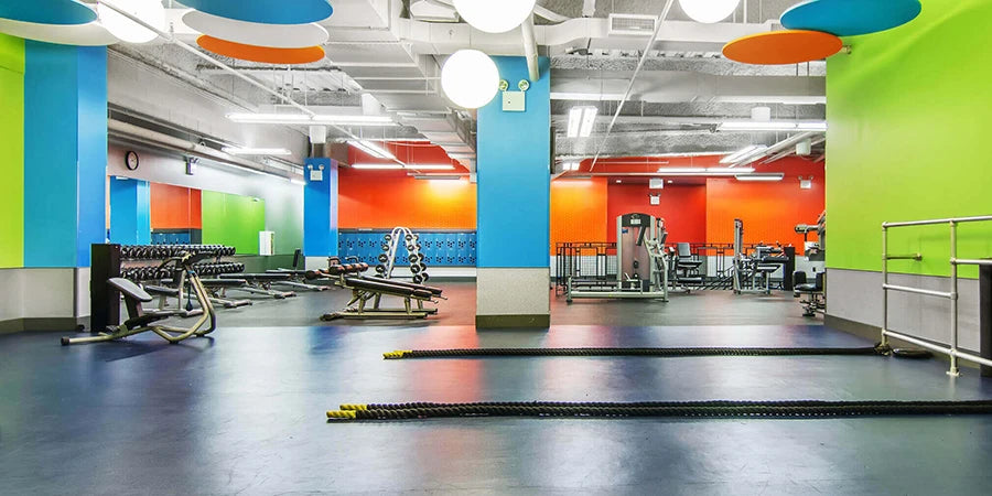 22 Best Gyms & Health Clubs in NYC in 2023  (Complete Guide)