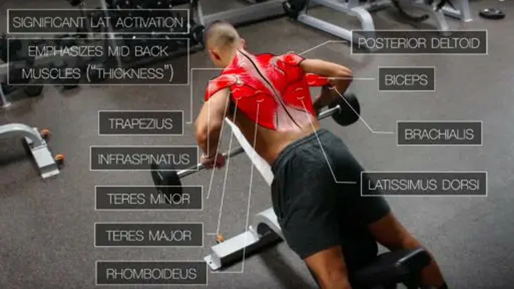 Chest Supported Incline Row