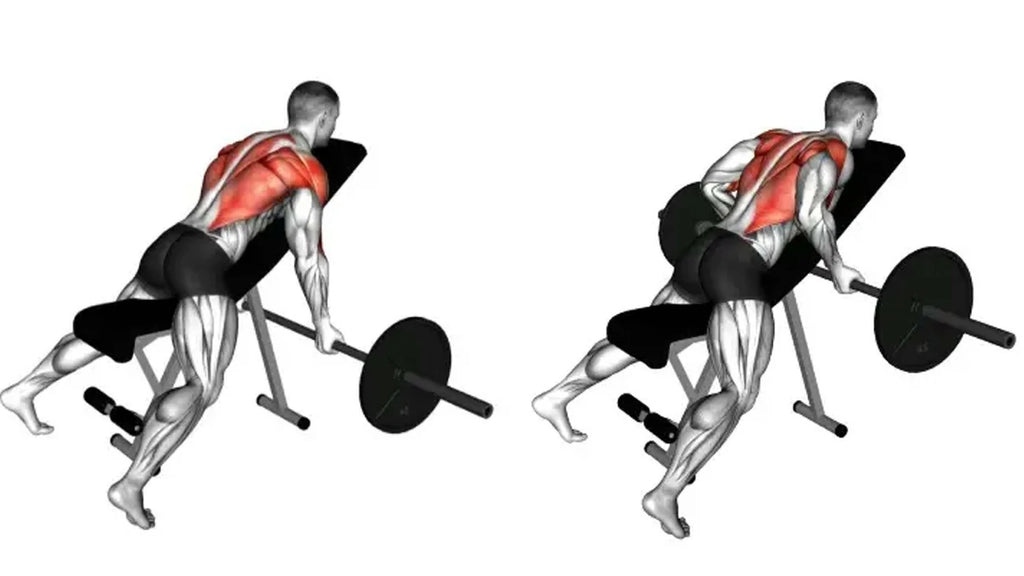 Chest Supported Barbell Row