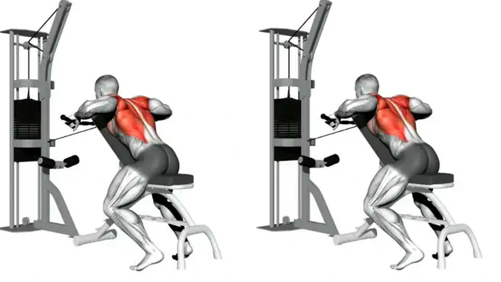 Chest Supported Machine Row