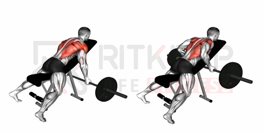 Barbell Row